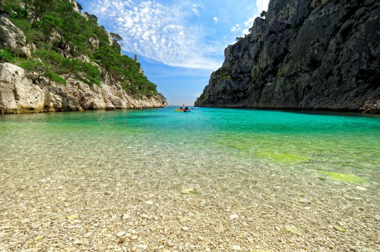 Cassiopee * Cassis
